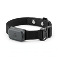 K9 Biometric Pro Elite Vet-Grade Health & Telemetry Collar — studio product shot on white background
